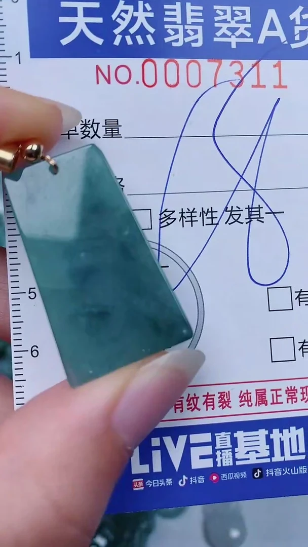 翡翠未镶嵌颈饰00007311