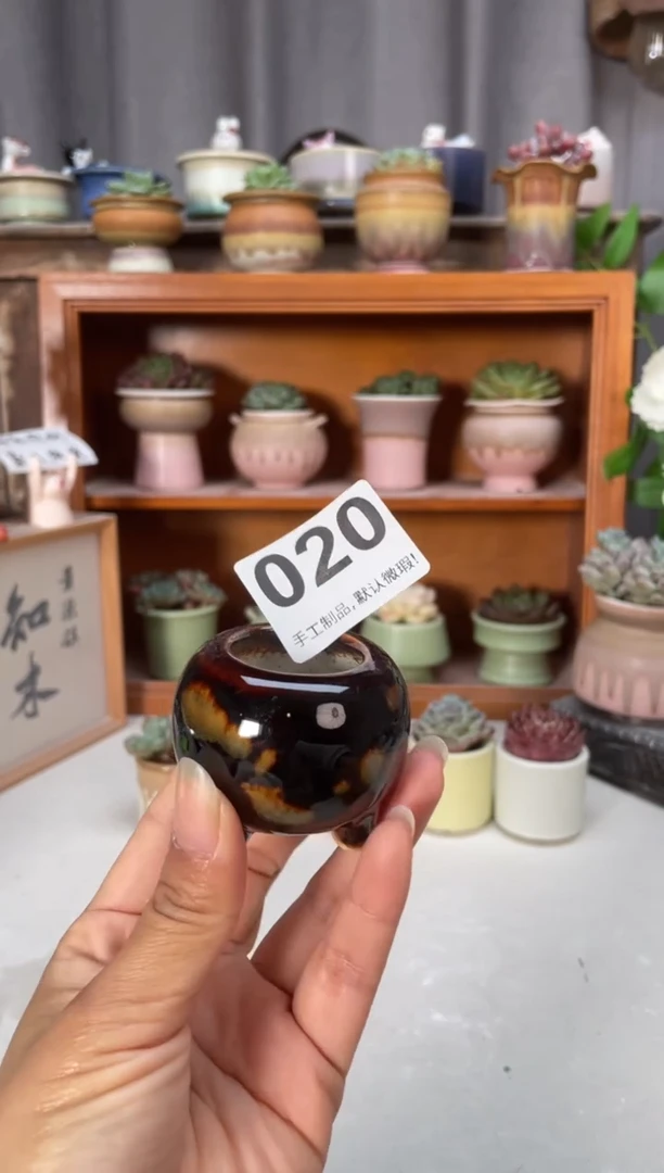 瓷片020小芳直播编号