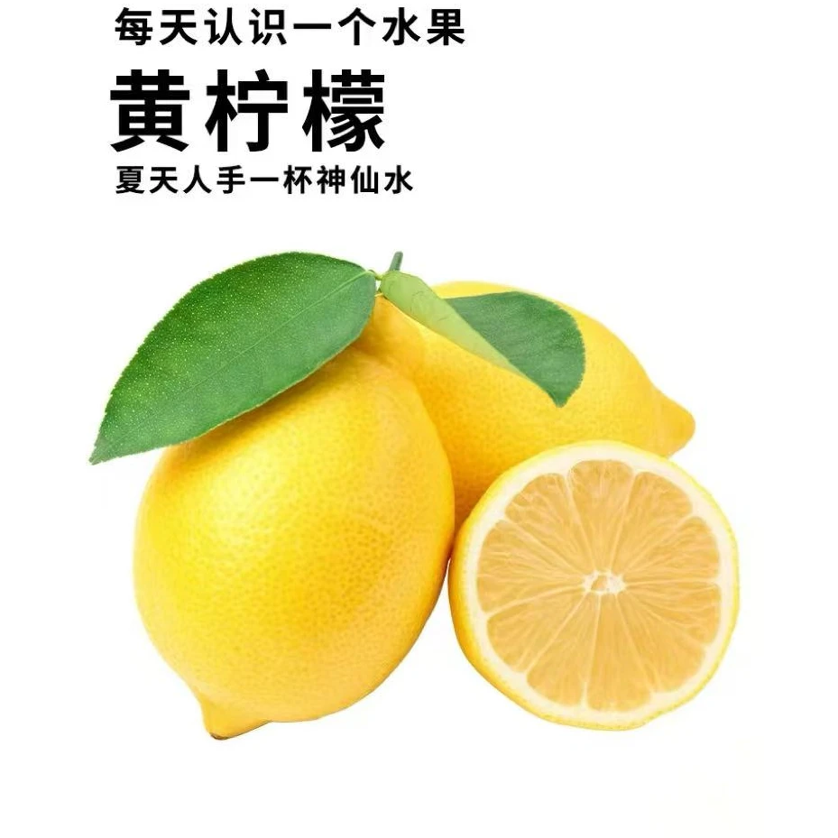 【鲜】新鲜多汁黄柠檬正宗广东产当季水果现摘现发（大)（中）( 小）果