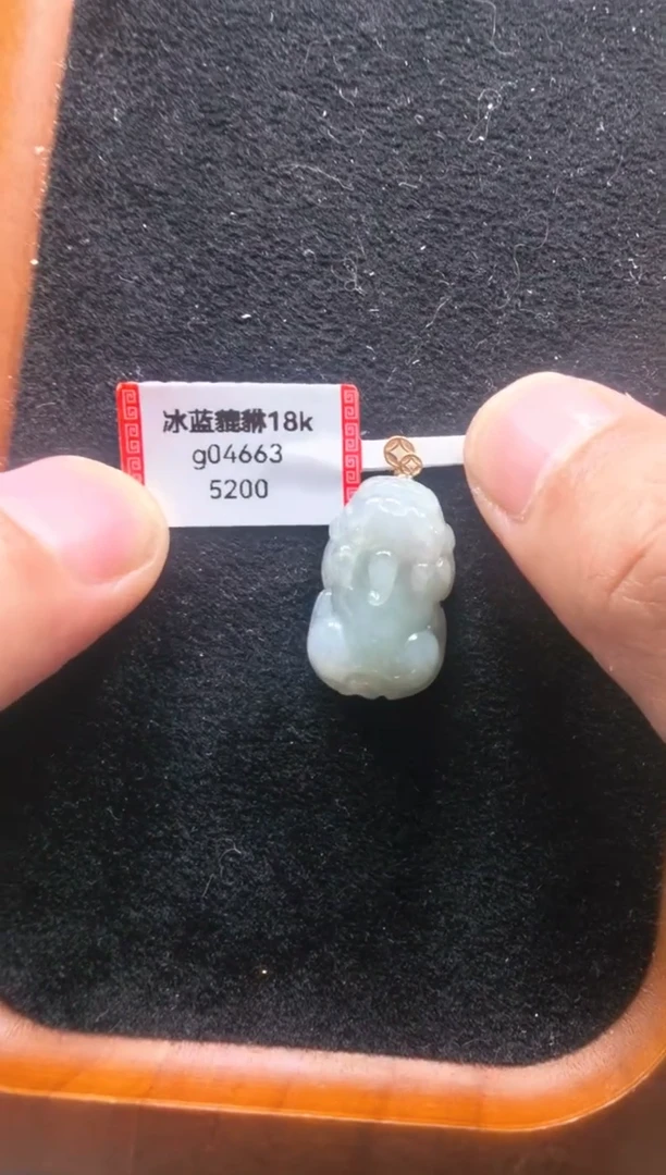 颈饰未镶嵌翡翠g04663-冰蓝貔貅