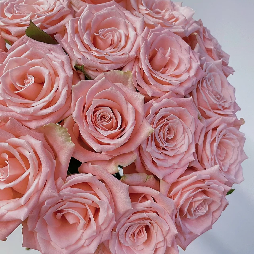 方媛 Rose 绽放浪漫 直播间粉丝福袋链接