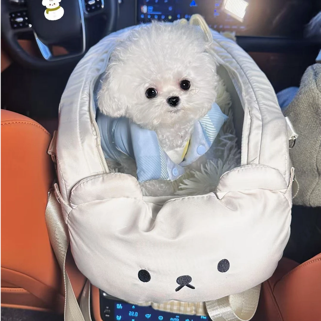 新（乐轩韩系比熊）狗狗活体