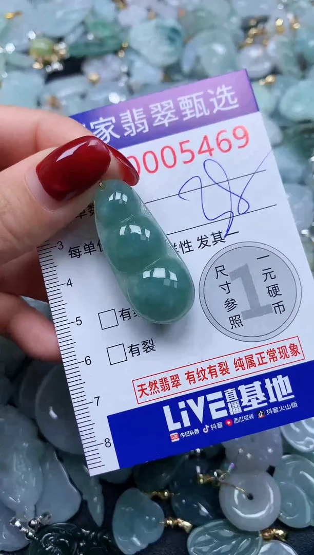 颈饰未镶嵌翡翠5469