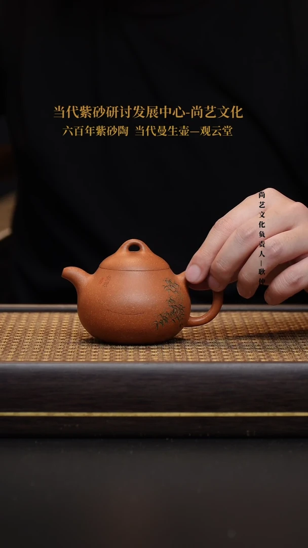 茶壶紫砂宜兴紫砂壶盈珠