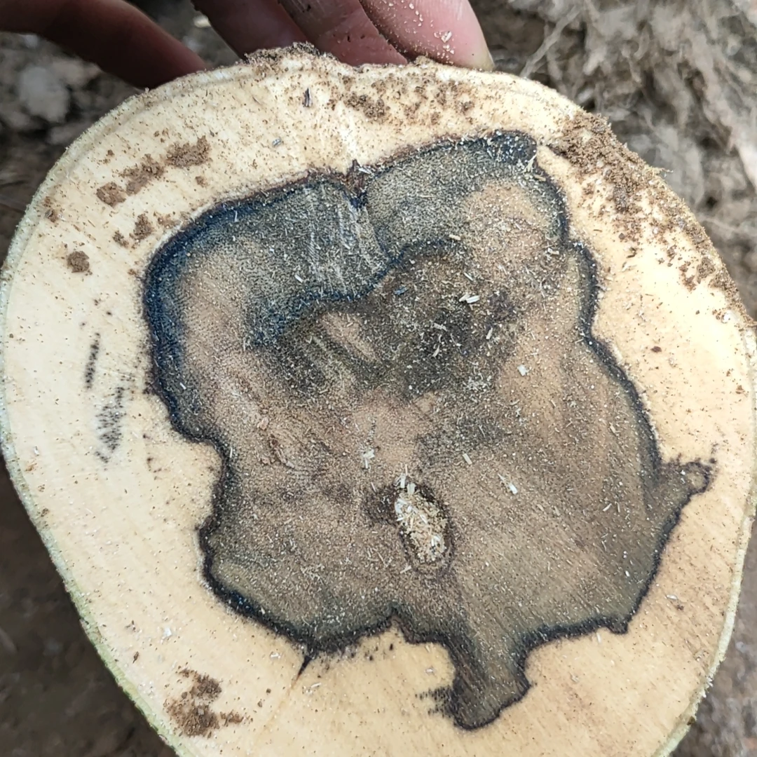 家居手工DIY摆件理香多样性发货一件以直播间为准