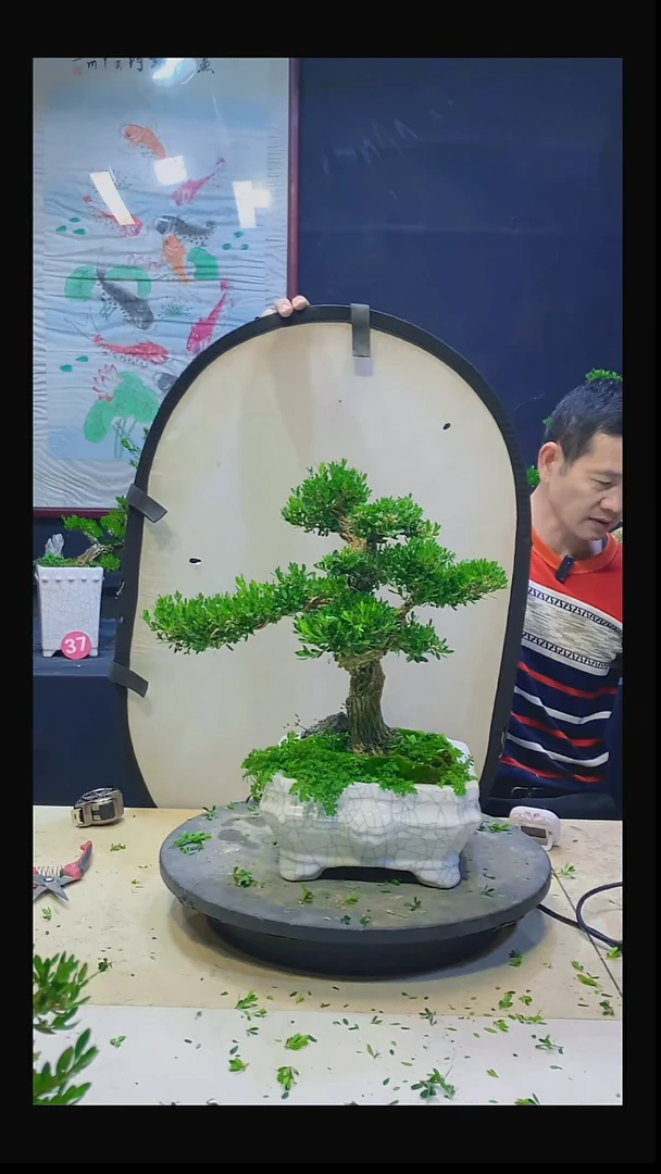 无花朵孞1111111111111