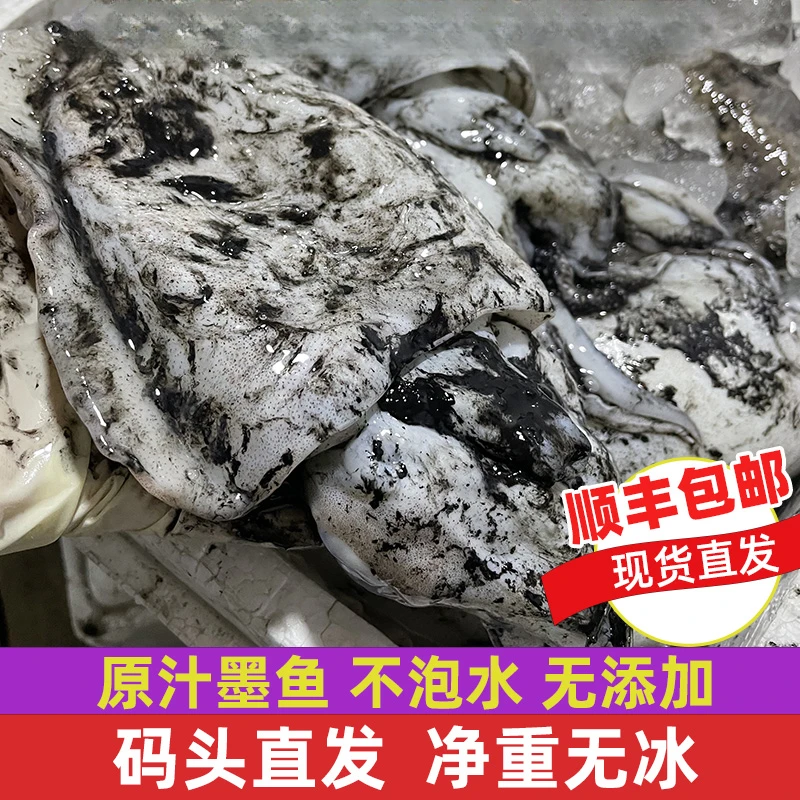 新鲜野生原汁大墨鱼鲜活冷冻深海目鱼鱿鱼乌贼整只顺丰