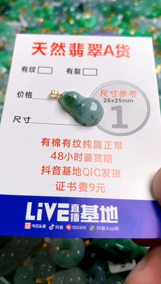 翡翠18K金镶嵌颈饰25100511
