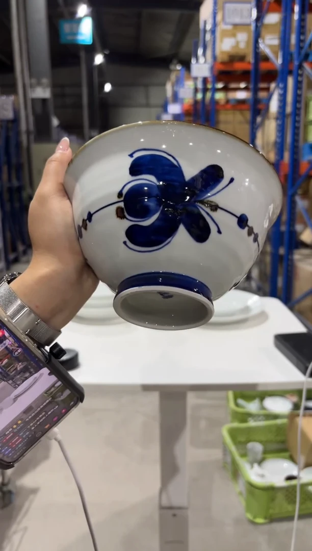 玻璃纸风轮花 大面碗风轮花 大面碗