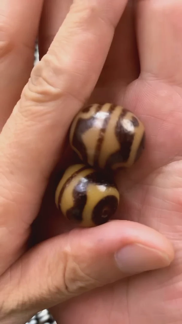 散珠玛瑙/玉髓王*鑫梵藏中线双虎牙达洛