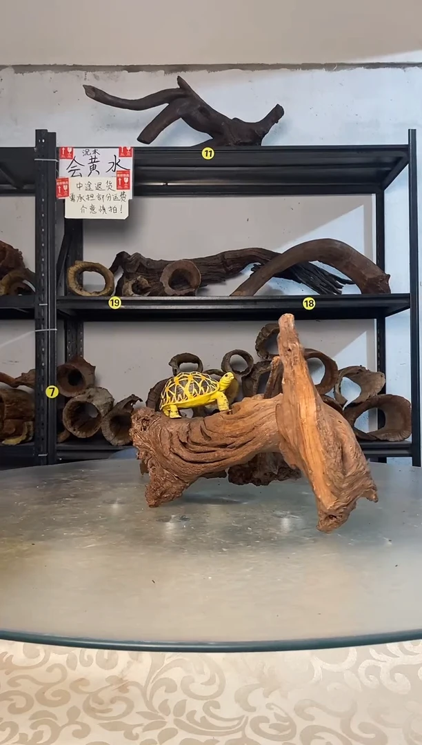 ?**狼鱼缸爬宠造景素材069