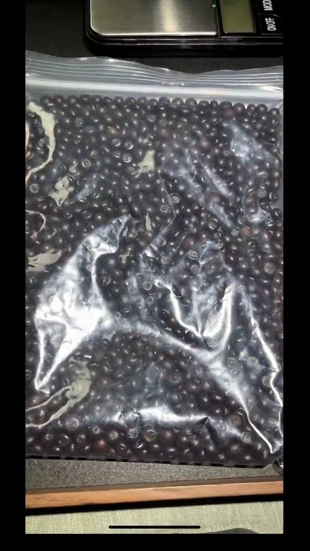 紫金钵盂菩提吊坠pz624-5约6-8mm一包一起发货