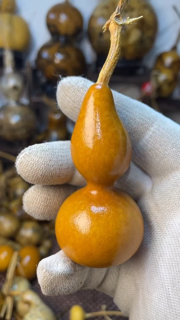 【闪购商品】葫芦葫芦葫芦葫芦