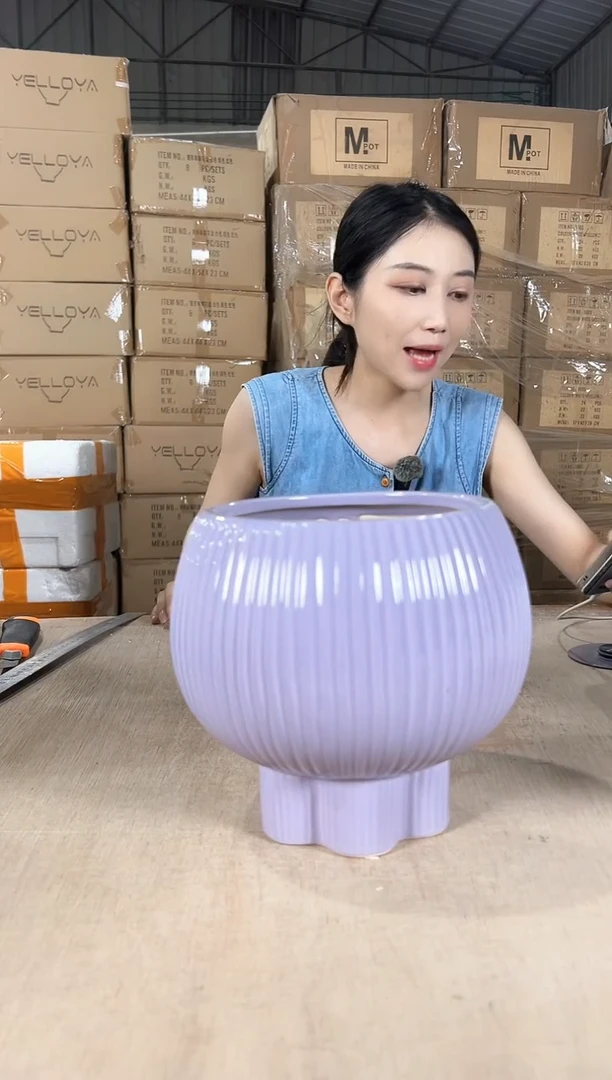 宝莲灯淡紫色大号17x20