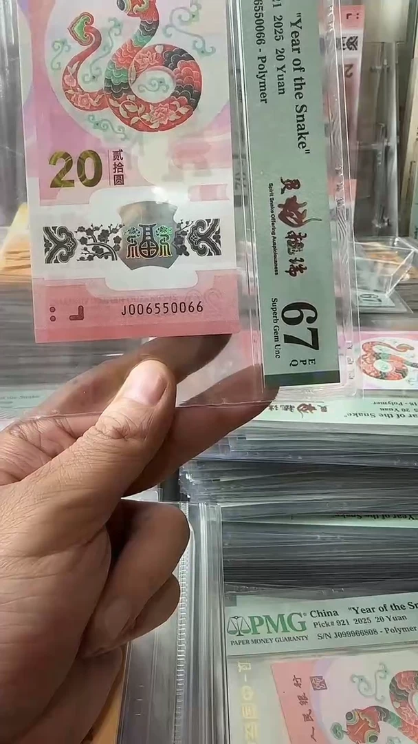 塑料006550066蛇钞单张