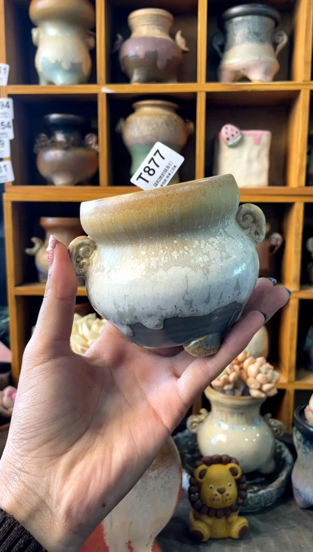 877内口7【多肉花盆多肉盆】1