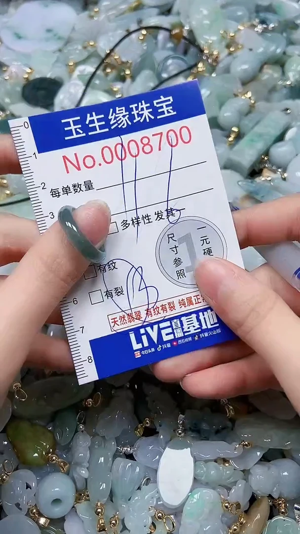 【闪购商品】翡翠颈饰未镶嵌闪购00008700