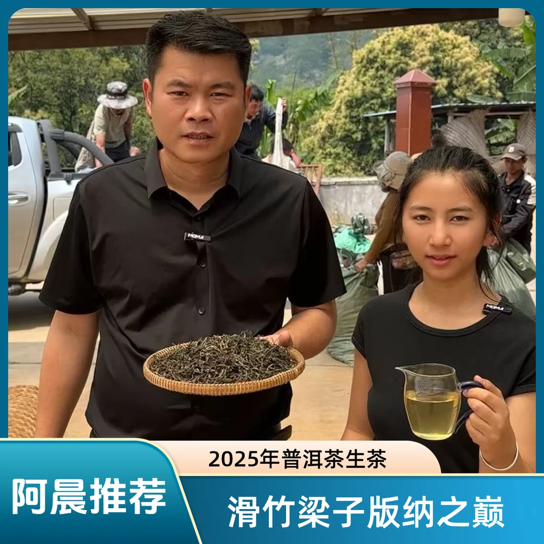 【普洱老家阿晨精选】2025滑竹梁子版纳之巅 普洱茶头春（生茶）