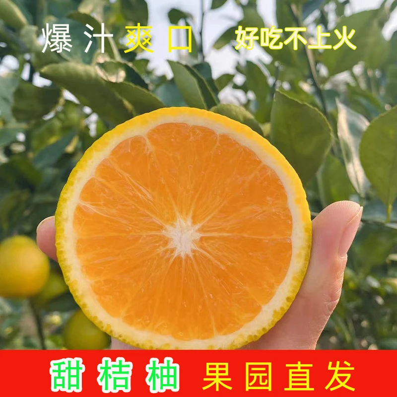 甜橘柚爆汁黄金葡萄柚水果新鲜当季蜜柚甜橘柚包邮黄肉柚子