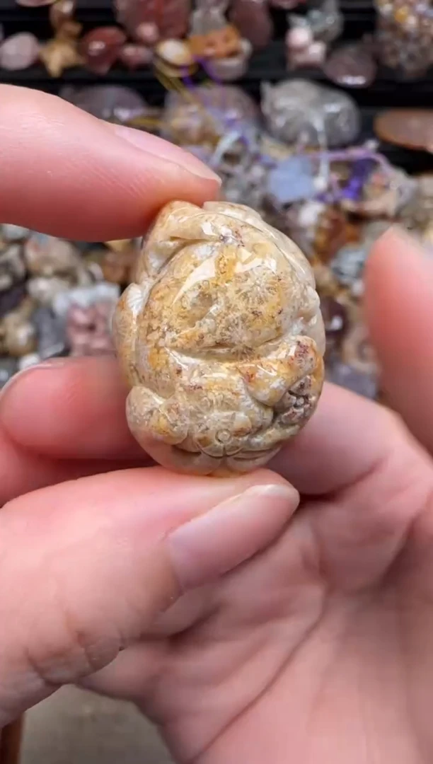 硅化珊瑚（珊瑚玉）未镶嵌颈饰450