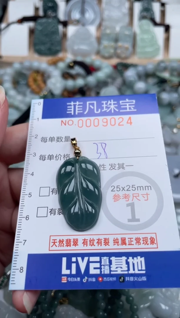 翡翠未镶嵌颈饰00..9024