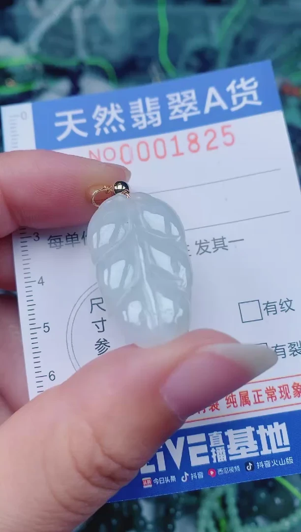 颈饰未镶嵌翡翠00001825