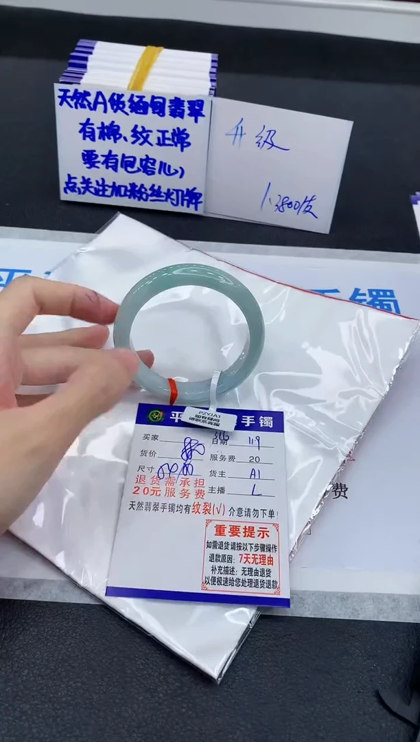 未镶嵌手镯翡翠11111