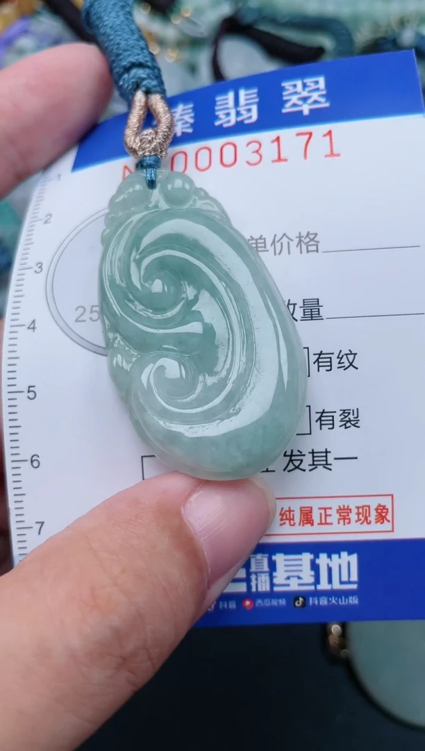 翡翠未镶嵌颈饰.0003171