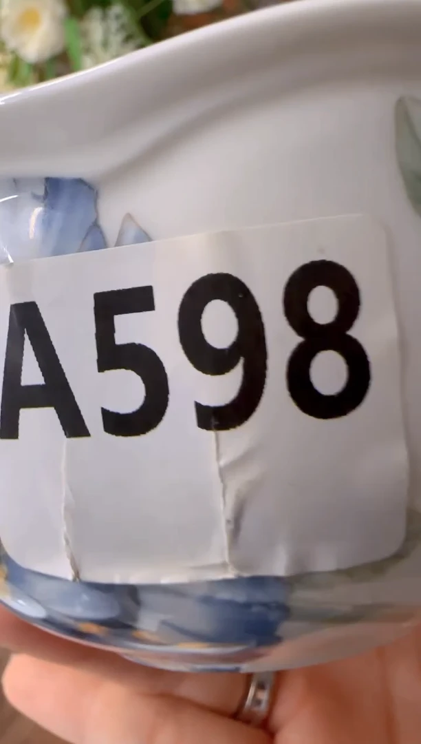 瓷beizi ci -*********