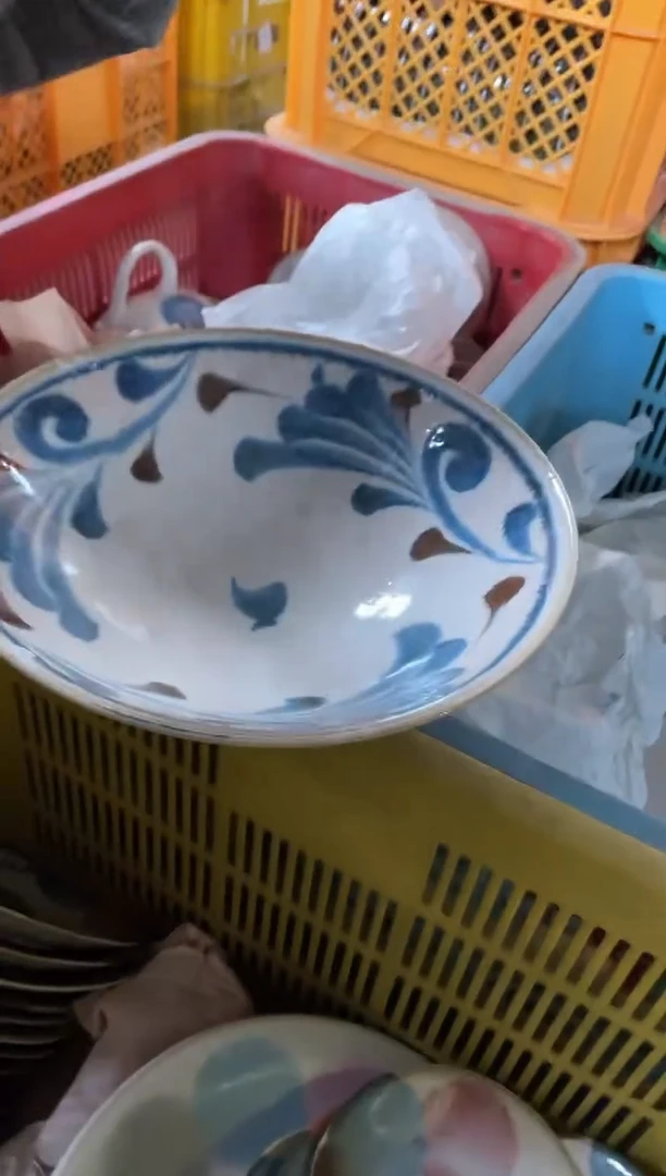 【闪购商品】瓷片          879号25*8