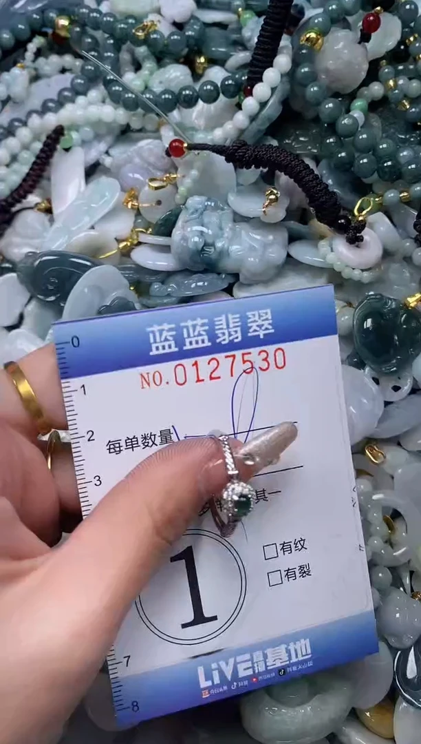 【闪购商品】翡翠颈饰未镶嵌闪购0127530