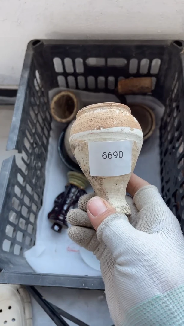 器556677882505246690