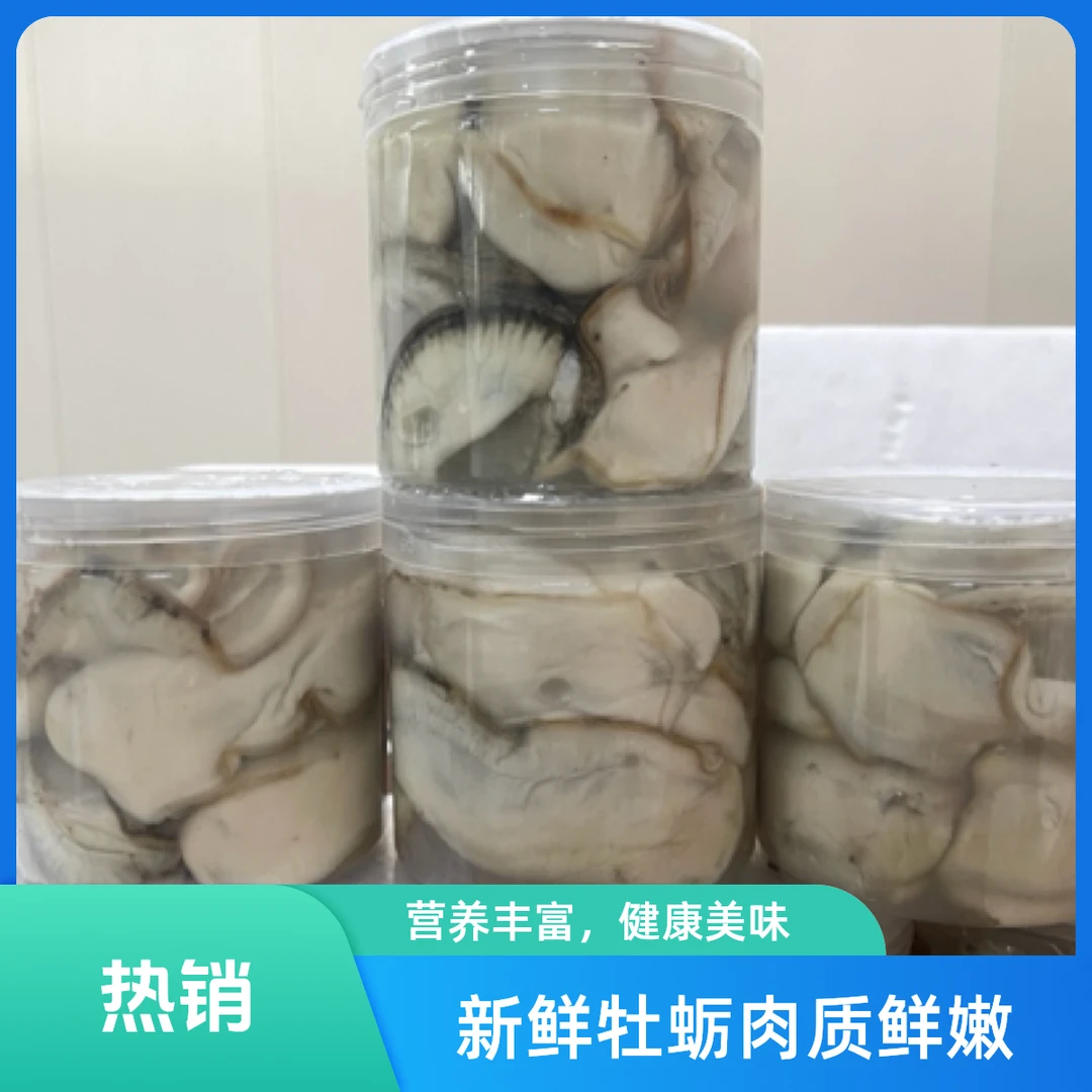 新鲜乳山生蚝肉（1斤装高品质）精品