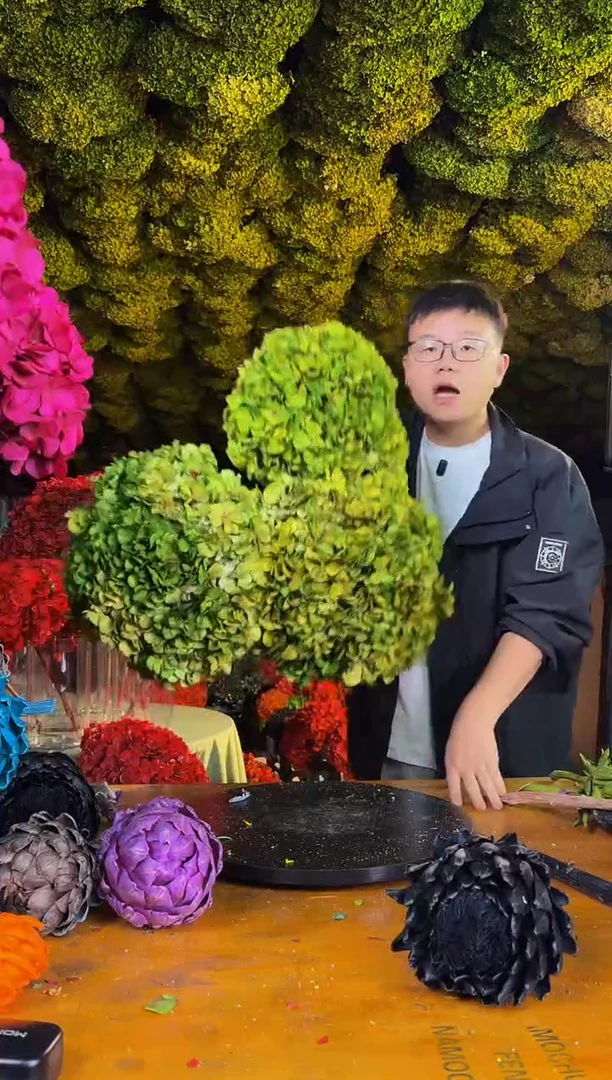 175 山前小麦 · 荷兰进口永生大叶绣球 3枝（渐变黄绿）