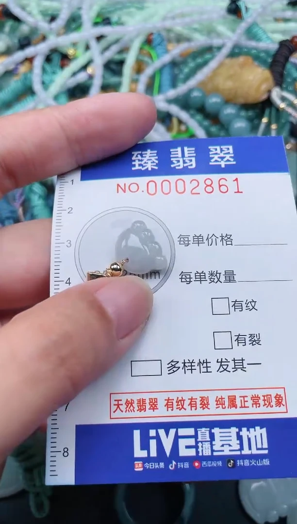 翡翠未镶嵌颈饰.0002861