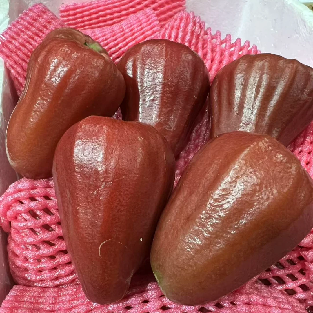 化州市区送货【黑金刚莲雾】一份2斤