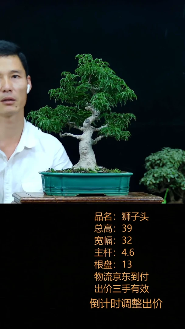 无花朵0000000000000品