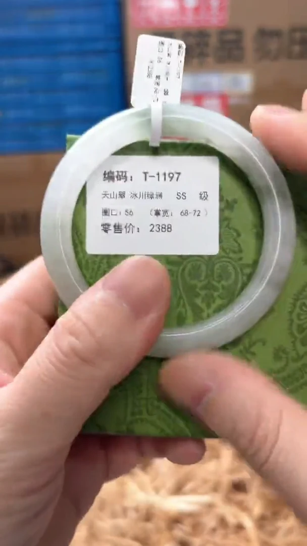 未镶嵌手镯石英质玉T-1197