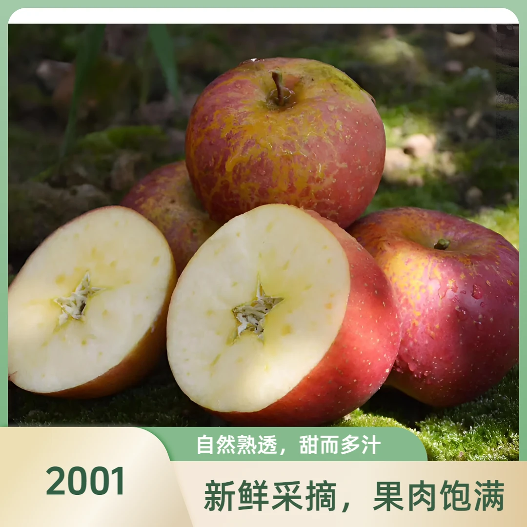 云南昭通2001果新鲜应季脆甜水果产地直发树上现摘