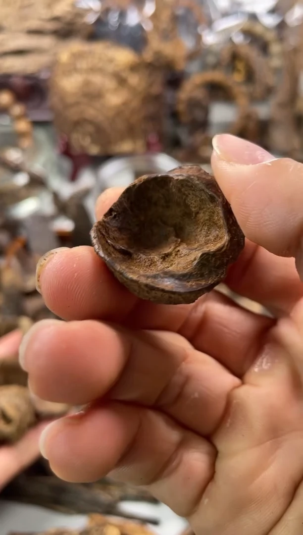 沉香沉香碎屑小*熊  沉香  海南 3.4