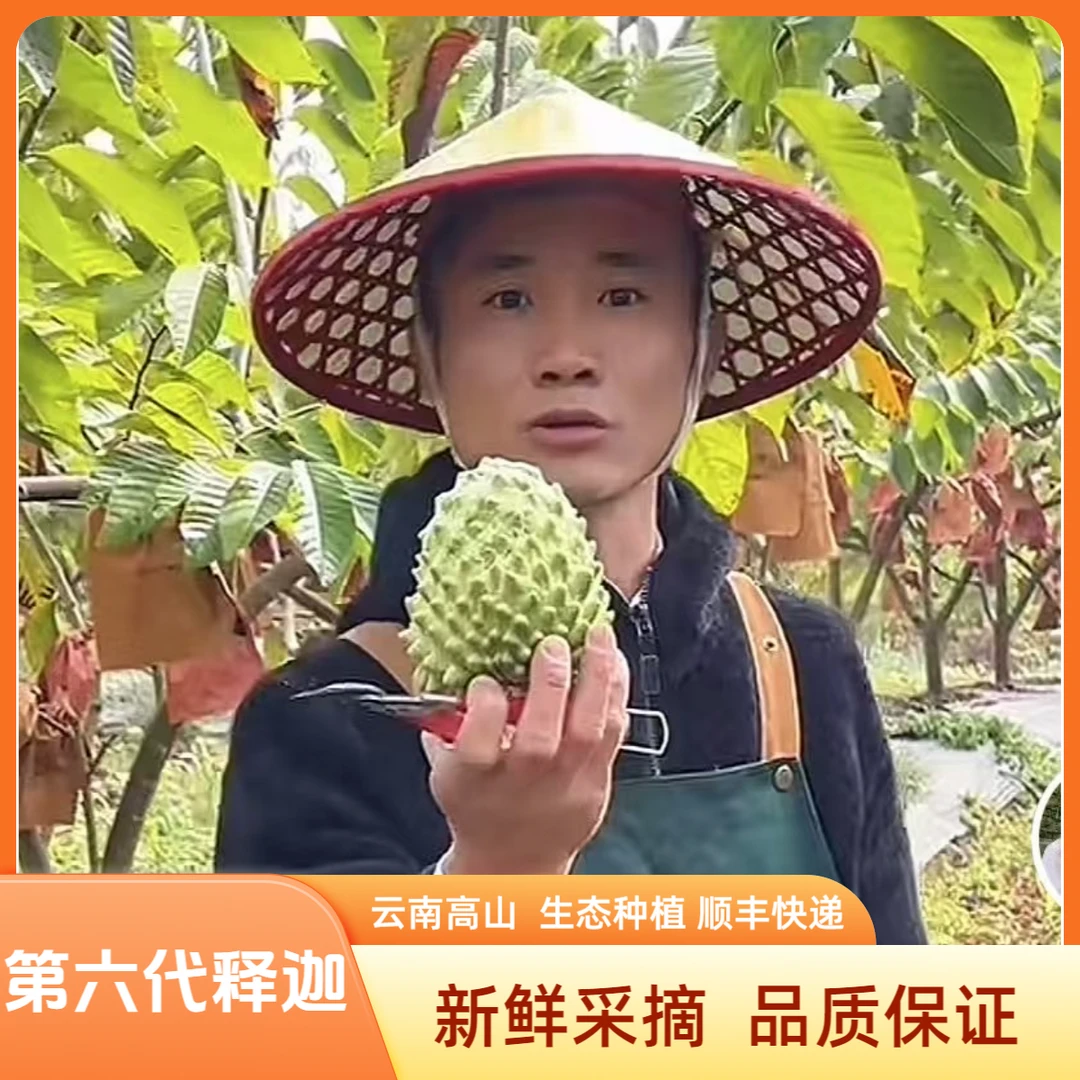 第六代牛奶释迦果园新鲜现摘精选优质凤梨释迦果顺丰包邮A果