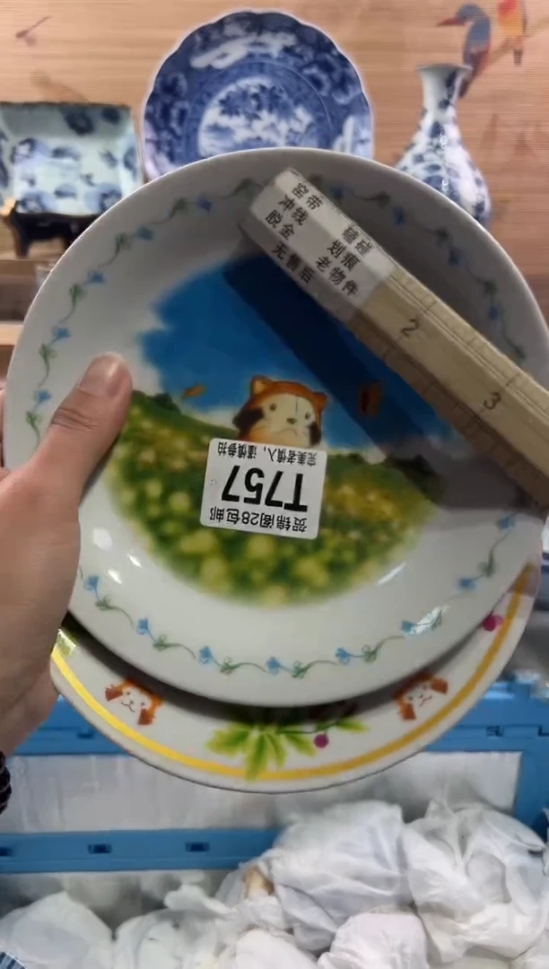 【闪购商品】瓷片当天满28米包邮T757