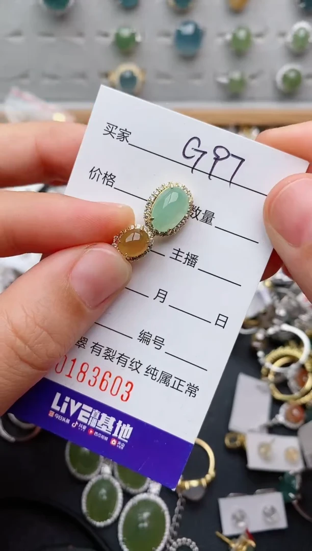 翡翠银S925镶嵌颈饰.