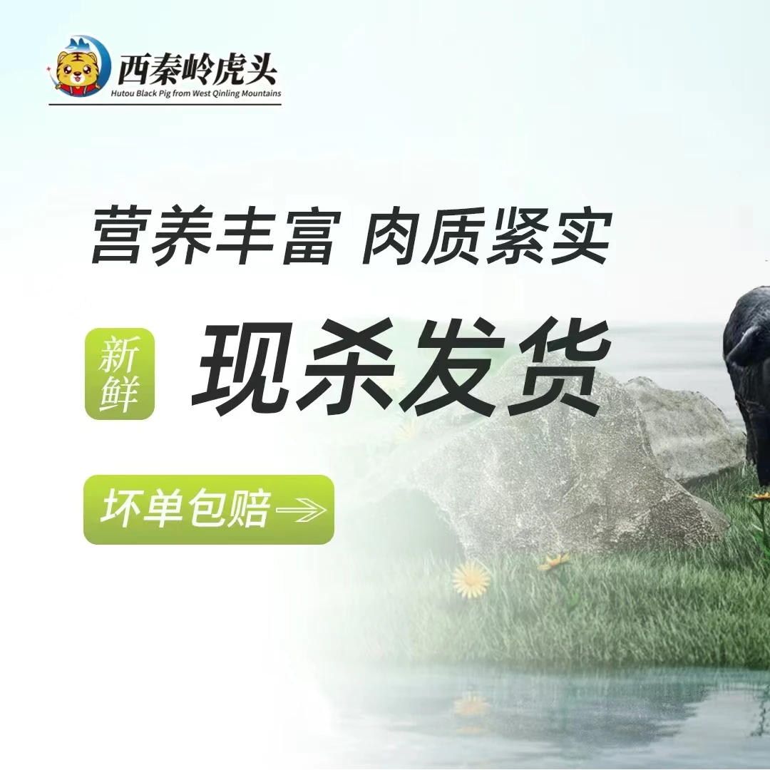 6专拍直播间专用链接黑猪肉