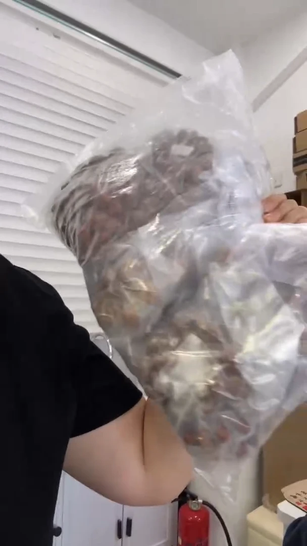 橄榄核手串/手链盲核698