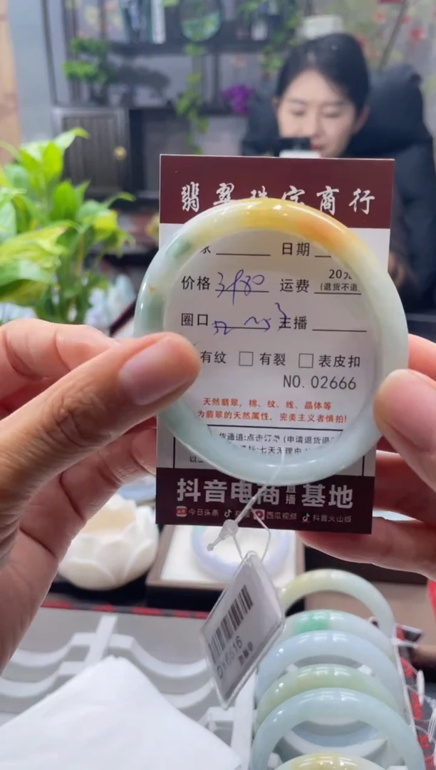 未镶嵌手镯翡翠2666****