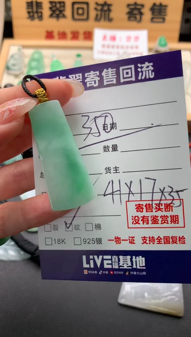 翡翠未镶嵌颈饰10133359