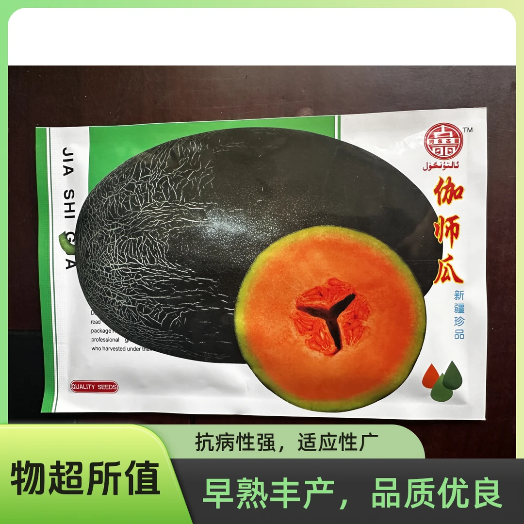 伽师瓜种子晚熟品种