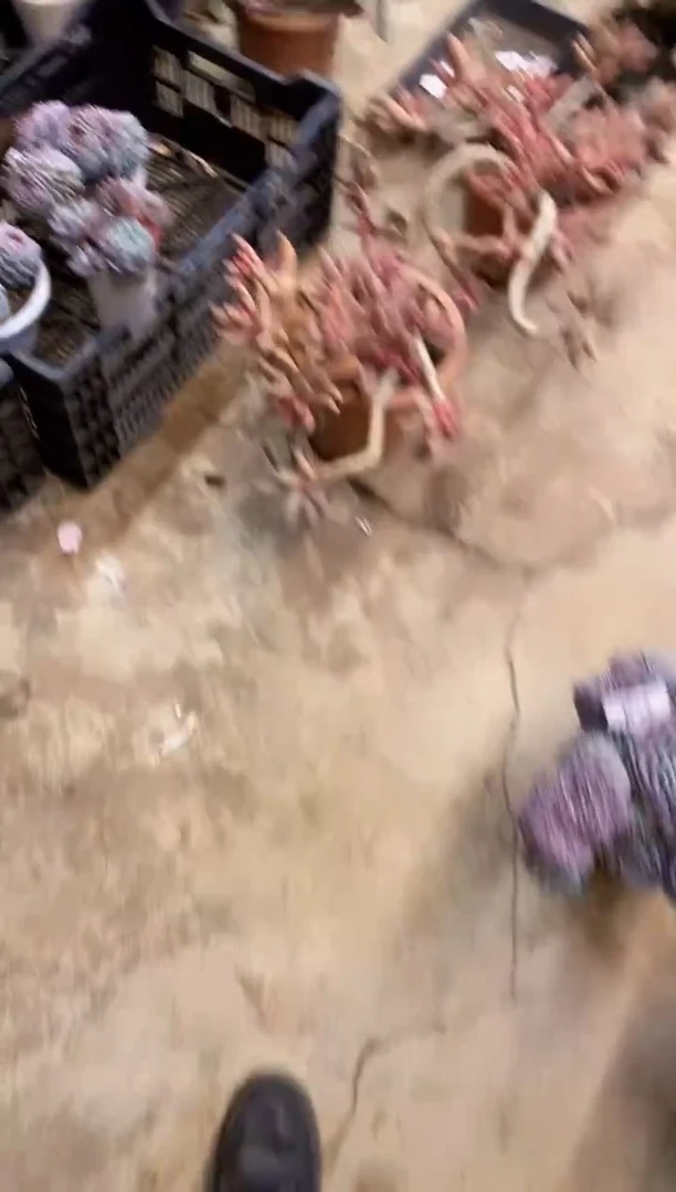 初*?         B8￥23