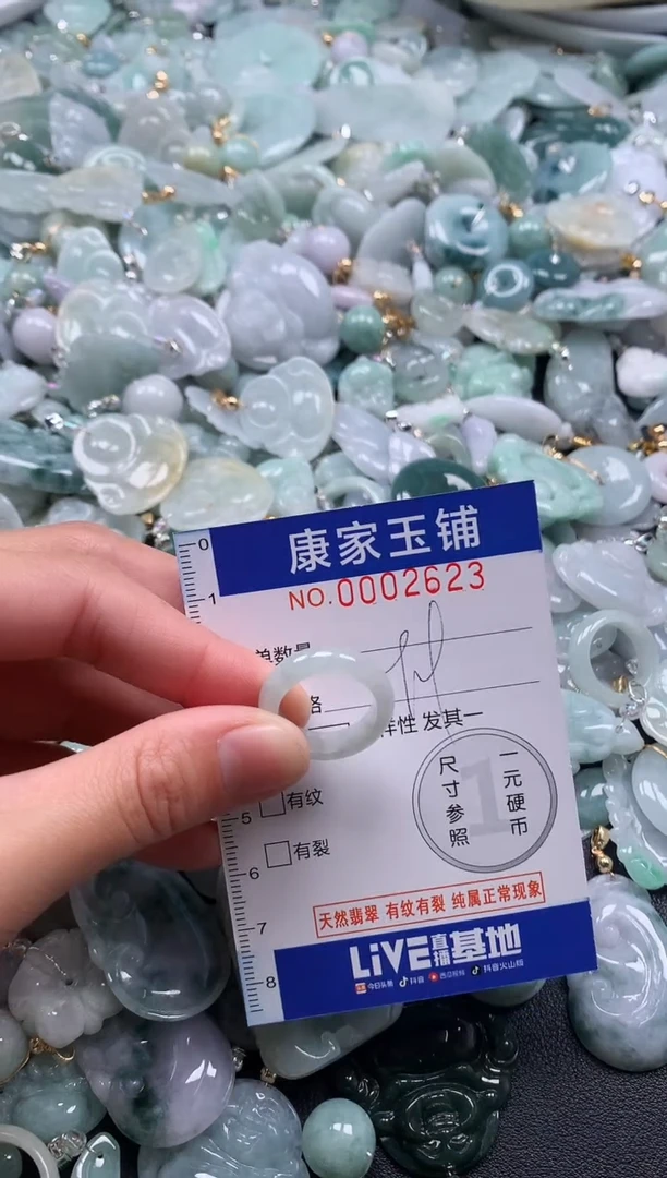 颈饰未镶嵌翡翠2623